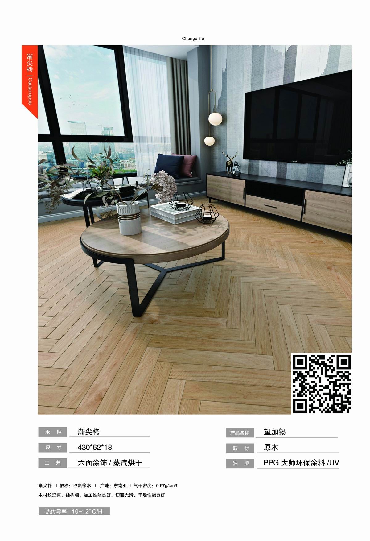 渐尖栲