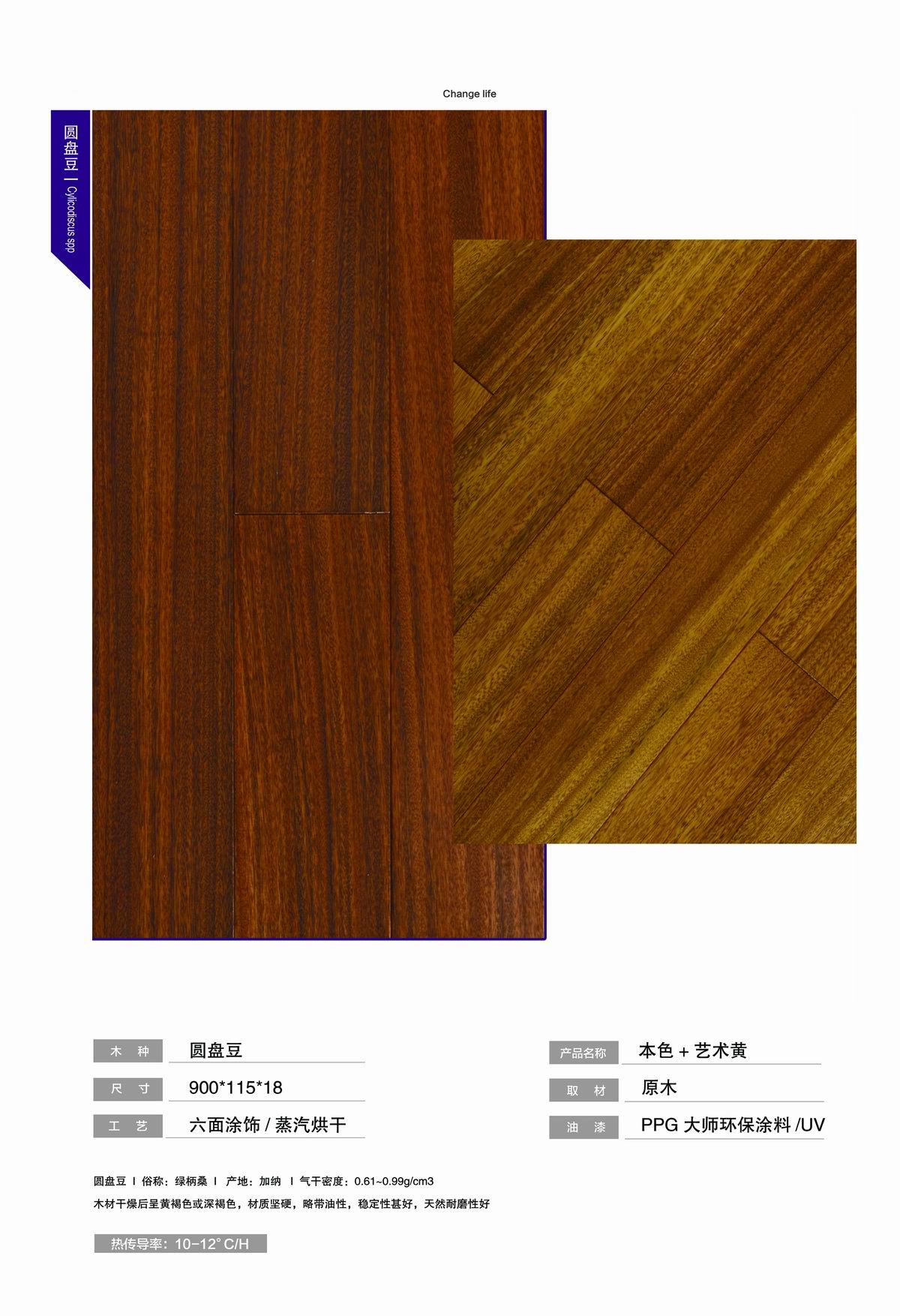 圆盘豆