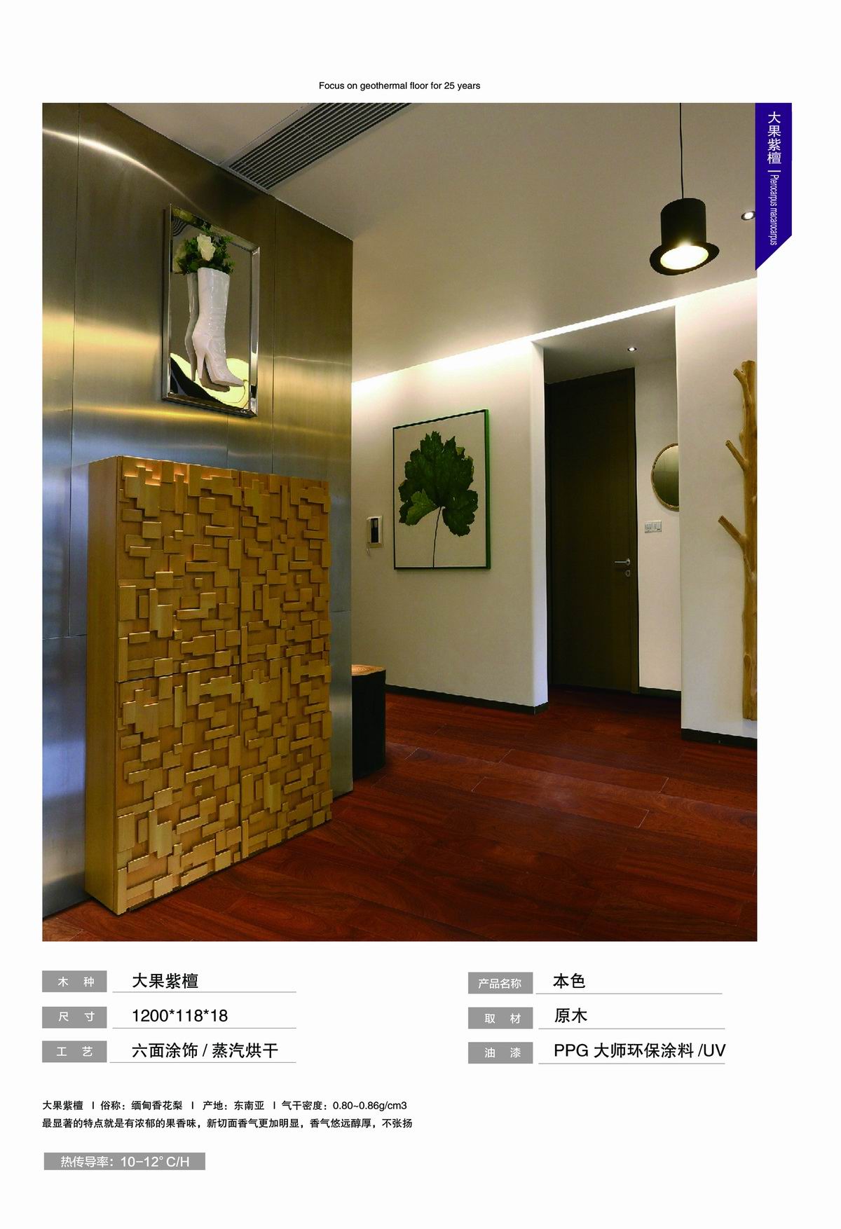案例展示