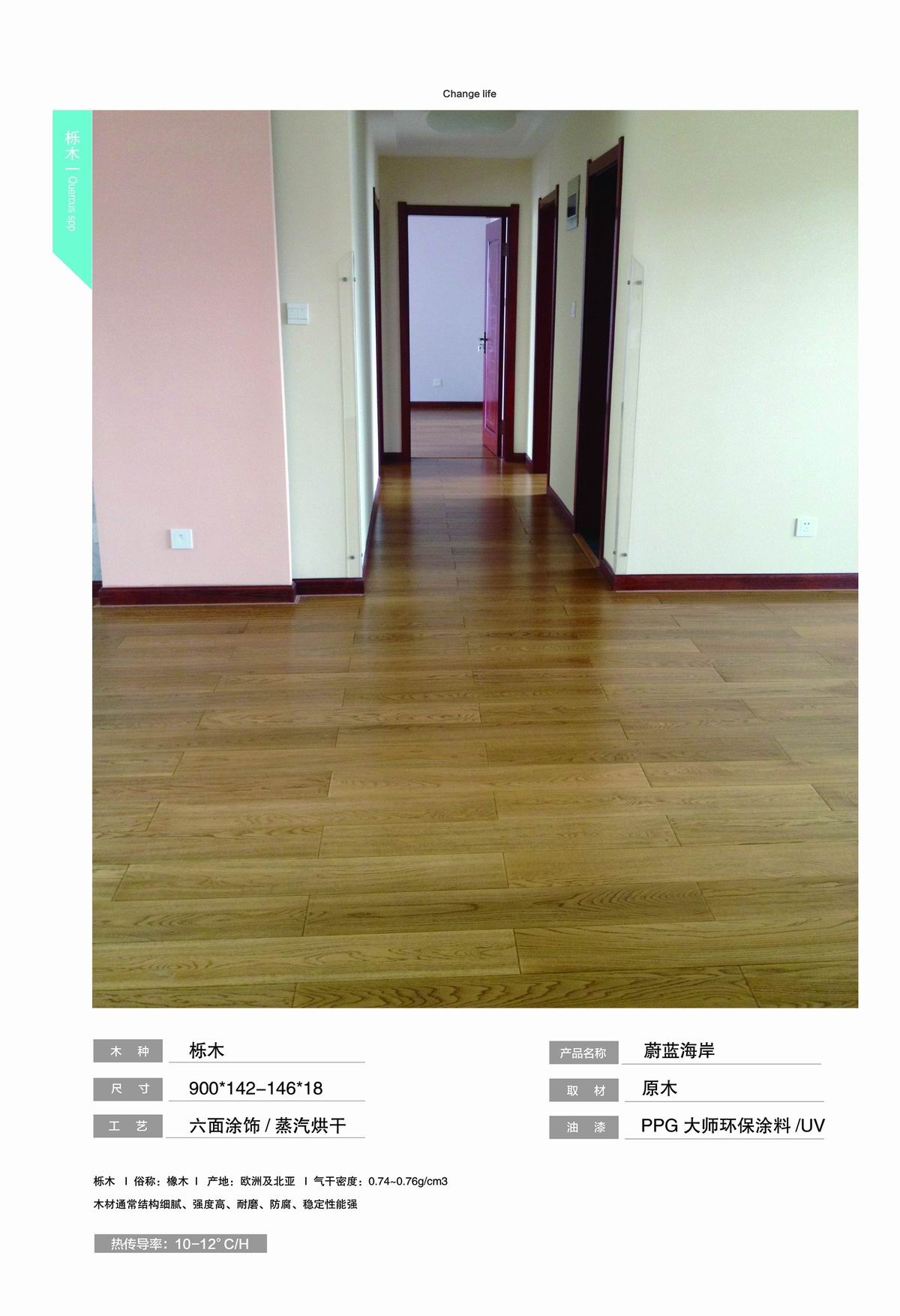 实力展示